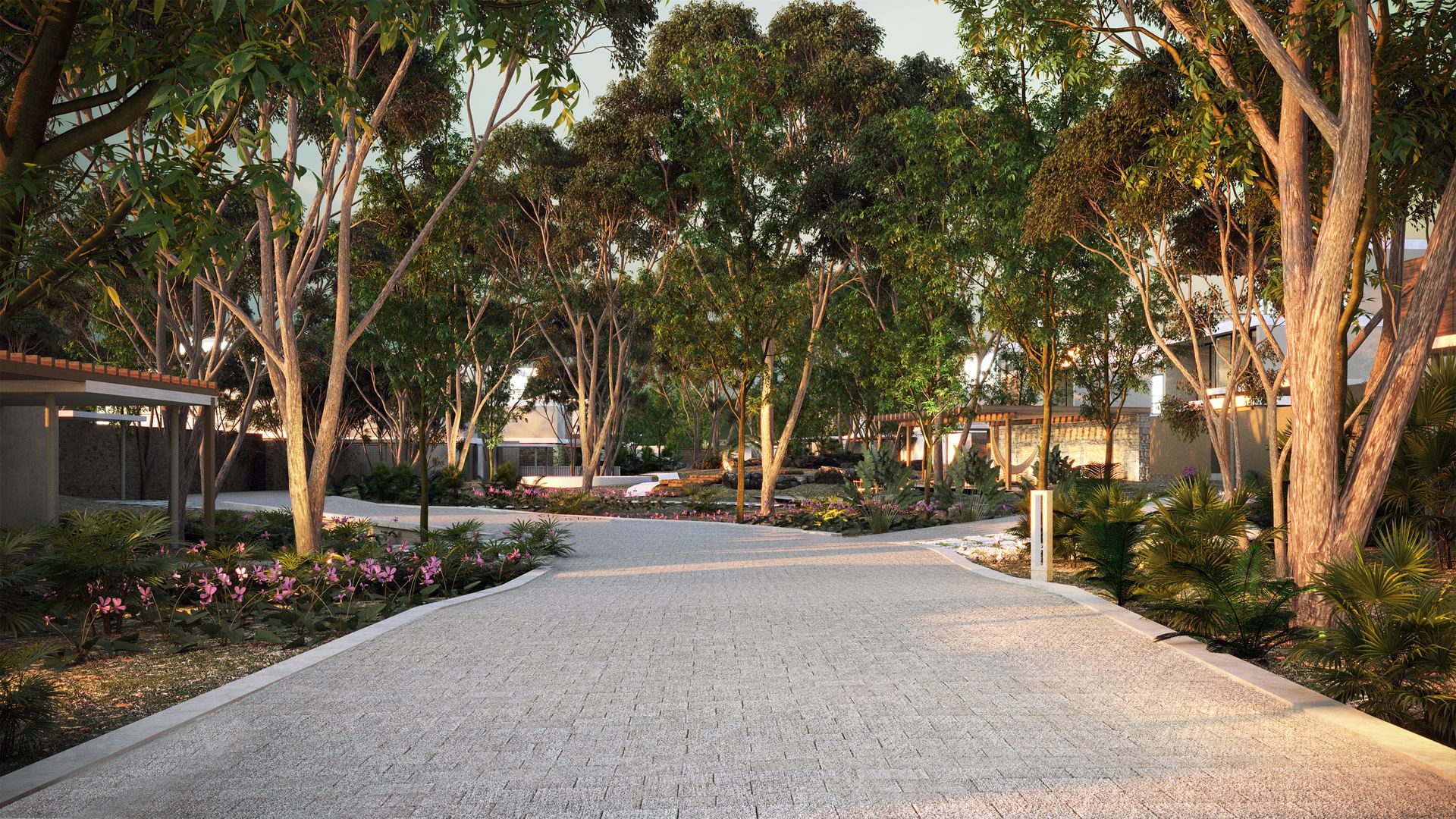 Tree-lined street view