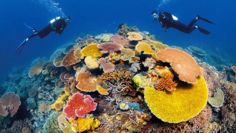 Mesoamerican Reef — the second-largest coral reef system in the world